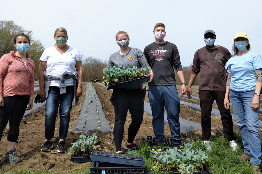 farming